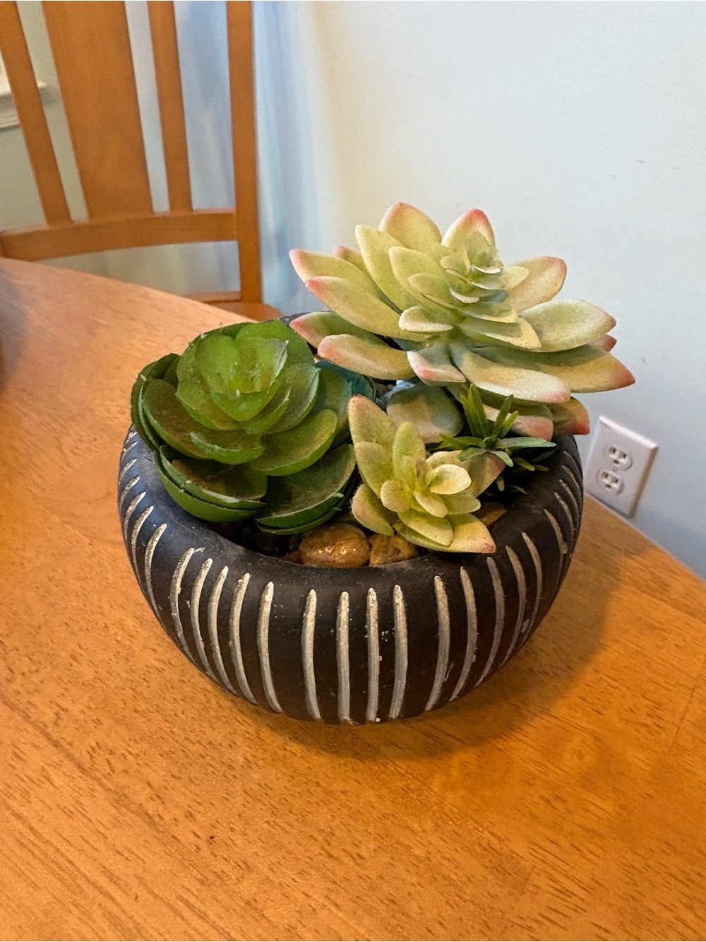 Succulent Arrangement in Striped Black Planter - Green & Pale Pink Accents